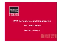 JAVA Persistence and Serialization