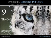 The Cell Cycle