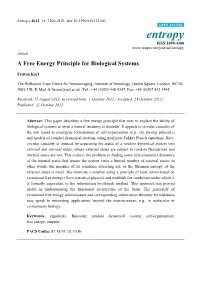 A Free Energy Principle for Biological Systems