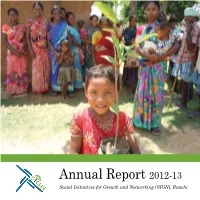 Annual Report 2012-13