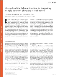 Mammalian BLM Helicase Is Critical for Integrating Multiple Pathways of Meiotic Recombination