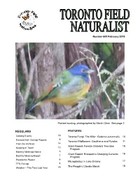 Regulars Features