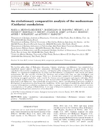 An Evolutionary Comparative Analysis of the Medusozoan (Cnidaria) Exoskeleton