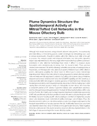 Plume Dynamics Structure the Spatiotemporal Activity of Mitral/Tufted Cell Networks in the Mouse Olfactory Bulb