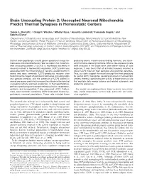 Brain Uncoupling Protein 2: Uncoupled Neuronal Mitochondria Predict Thermal Synapses in Homeostatic Centers