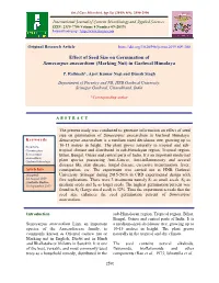 Effect of Seed Size on Germination of Semecarpus Anacardium (Marking Nut) in Garhwal Himalaya