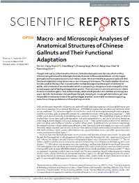 Macro- and Microscopic Analyses of Anatomical Structures of Chinese