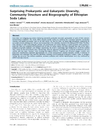 Surprising Prokaryotic and Eukaryotic Diversity, Community Structure and Biogeography of Ethiopian Soda Lakes