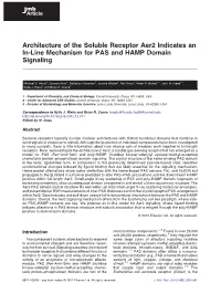 Architecture of the Soluble Receptor Aer2 Indicates an In-Line Mechanism for PAS and HAMP Domain Signaling