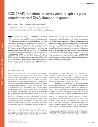 CDK5RAP2 Functions in Centrosome to Spindle Pole Attachment and DNA Damage Response
