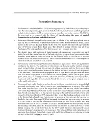 Executive Summary