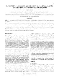Influence of Migratory Behaviour on the Morphology and Breeding Biology of Puffinus Shearwaters