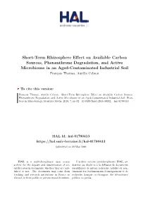 Short-Term Rhizosphere Effect on Available Carbon Sources