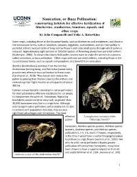 Sonication, Or Buzz Pollination: Constructing Habitats for Effective Fertilization Of