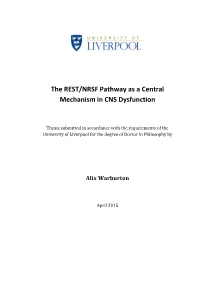 The REST/NRSF Pathway As a Central Mechanism in CNS Dysfunction