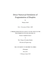 Direct Numerical Simulation of Fragmentation of Droplets