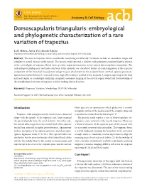 Dorsoscapularis Triangularis: Embryological and Phylogenetic Characterization of a Rare Variation of Trapezius