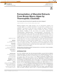 Fermentation of Mannitol Extracts from Brown Macro Algae by Thermophilic Clostridia