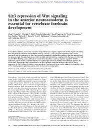 Six3 Repression of Wnt Signaling in the Anterior Neuroectoderm Is Essential for Vertebrate Forebrain Development