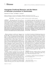Orangutan Positional Behavior and the Nature of Arboreal Locomotion in Hominoidea Susannah K.S