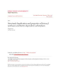 Structural Classification and Properties of Ketoacyl Synthases and Biotin-Dependent Carboxylases Yingfei Chen Iowa State University