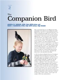 Companion Bird