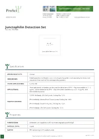 Junctophilin Detection Set Cat