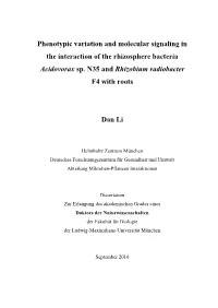 Phenotypic Variation and Molecular Signaling in the Interaction of the Rhizosphere Bacteria Acidovorax Sp