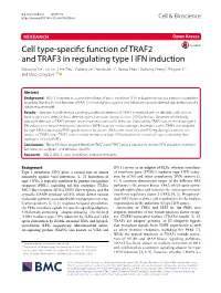 Cell Type-Specific Function of TRAF2 and TRAF3 in Regulating Type I IFN