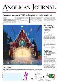 Primates Censure TEC, but Agree to 'Walk Together'