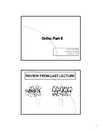 Ortho Part II