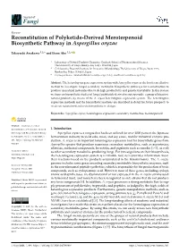 Reconstitution of Polyketide-Derived Meroterpenoid Biosynthetic Pathway in Aspergillus Oryzae