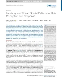 Landscapes of Fear: Spatial Patterns of Risk