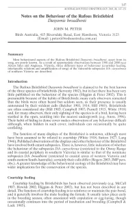 Notes on the Behaviour of the Rufous Bristlebird Dasyomis Broadbenti