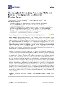 The Interplay Between Long Noncoding Rnas and Proteins of the Epigenetic Machinery in Ovarian Cancer