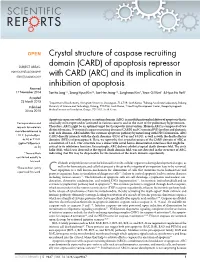 Crystal Structure of Caspase Recruiting Domain (CARD) of Apoptosis Repressor with CARD (ARC) and Its Implication in Inhibition of Apoptosis