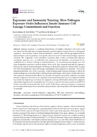 How Pathogen Exposure Order Influences Innate Immune