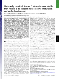 Maternally Recruited Aurora C Kinase Is More Stable Than Aurora B to Support Mouse Oocyte Maturation and Early Development
