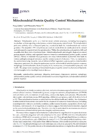 Mitochondrial Protein Quality Control Mechanisms