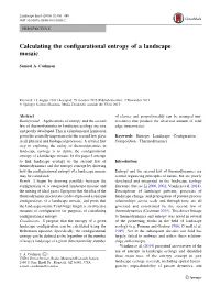 Calculating the Configurational Entropy of a Landscape Mosaic