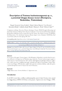Description of Triatoma Huehuetenanguensis Sp. N., a Potential Chagas Disease Vector (Hemiptera, Reduviidae, Triatominae)