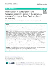 Identification of Transcriptome and Fluralaner Responsive Genes in The