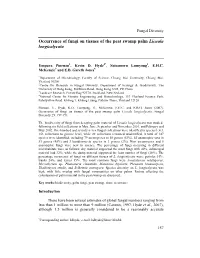 Occurrence of Fungi on Tissues of the Peat Swamp Palm Licuala Longicalycata