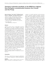 Changing Nucleotide Specificity of the DEAD-Box Helicase Hera Abrogates Communication Between the Q-Motif and the P-Loop