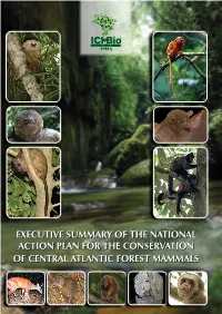 EXECUTIVE SUMMARY of the National Action Plan for The