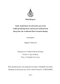 Final Report