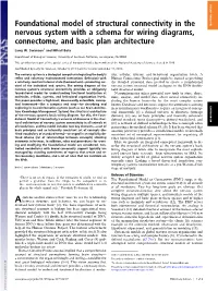 Foundational Model of Structural Connectivity in the Nervous System