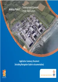 Hinkley Point C Development Consent Order Application