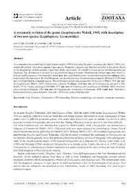 A Systematic Revision of the Genus Gnophopsodos Wehrli, 1945, with Description of Two New Species (Lepidoptera: Geometridae)