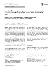 Aureobasidium Mangrovei Sp. Nov., an Ascomycetous Species Recovered from Hara Protected Forests in the Persian Gulf, Iran